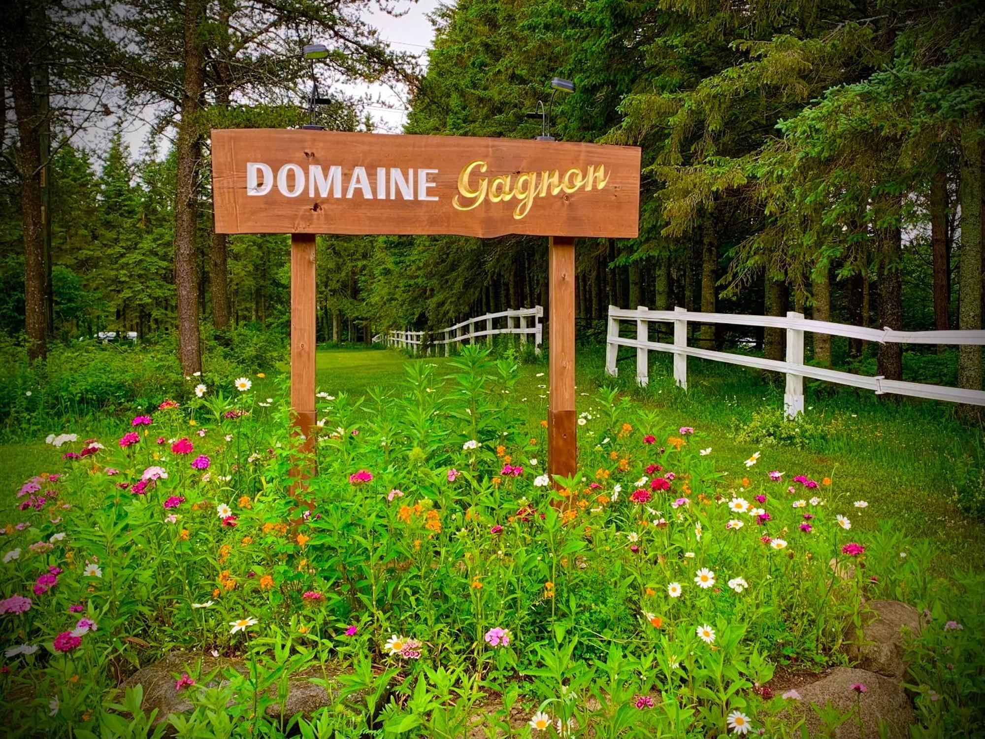 Domaine Gagnon Villa Saint Sebastien Buitenkant foto