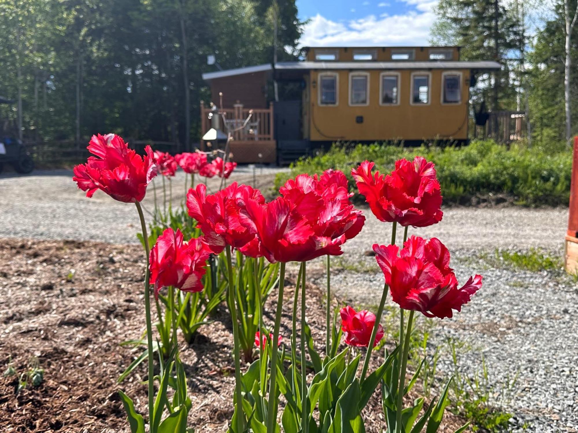 Domaine Gagnon Villa Saint Sebastien Buitenkant foto