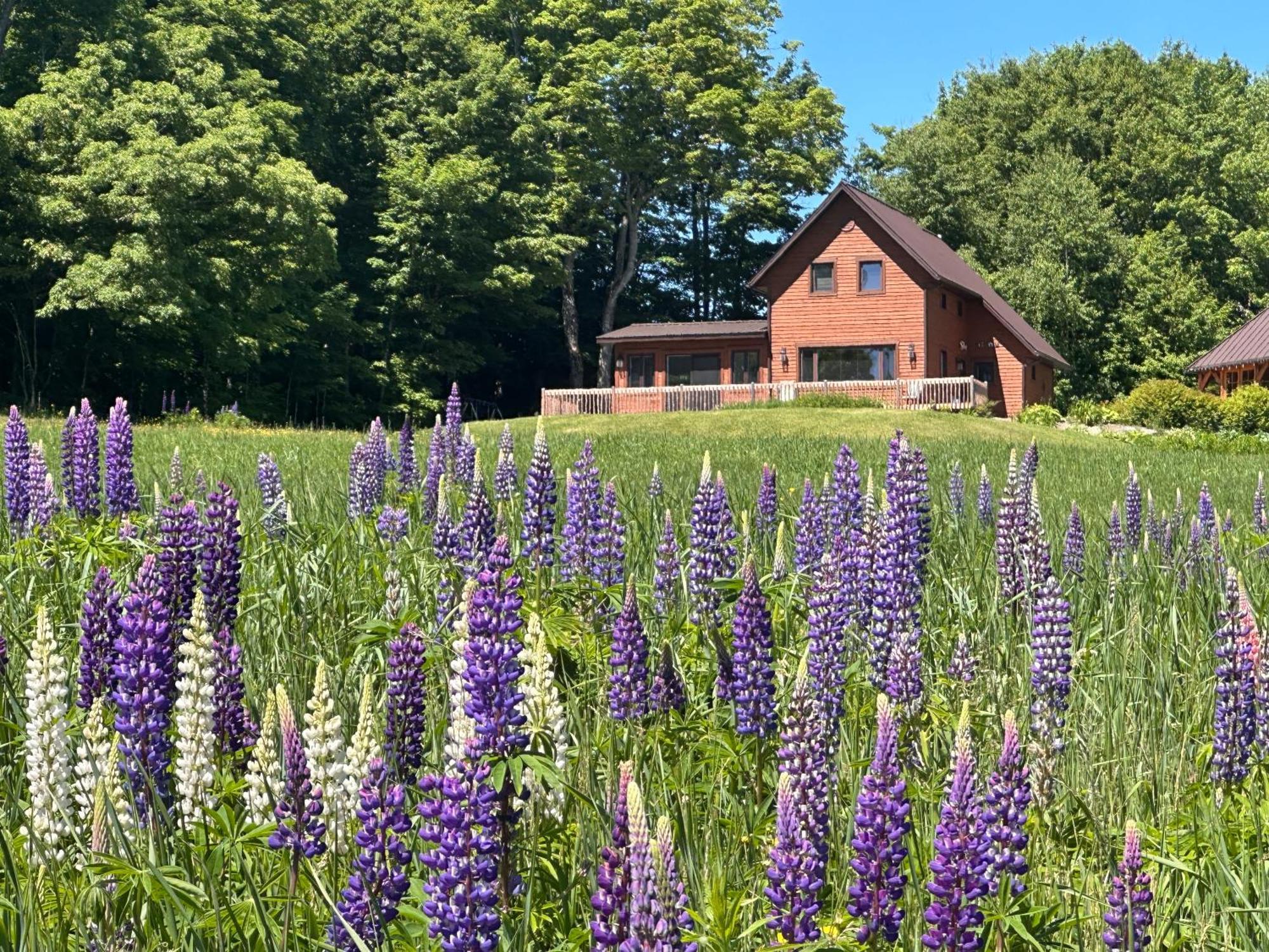 Domaine Gagnon Villa Saint Sebastien Buitenkant foto