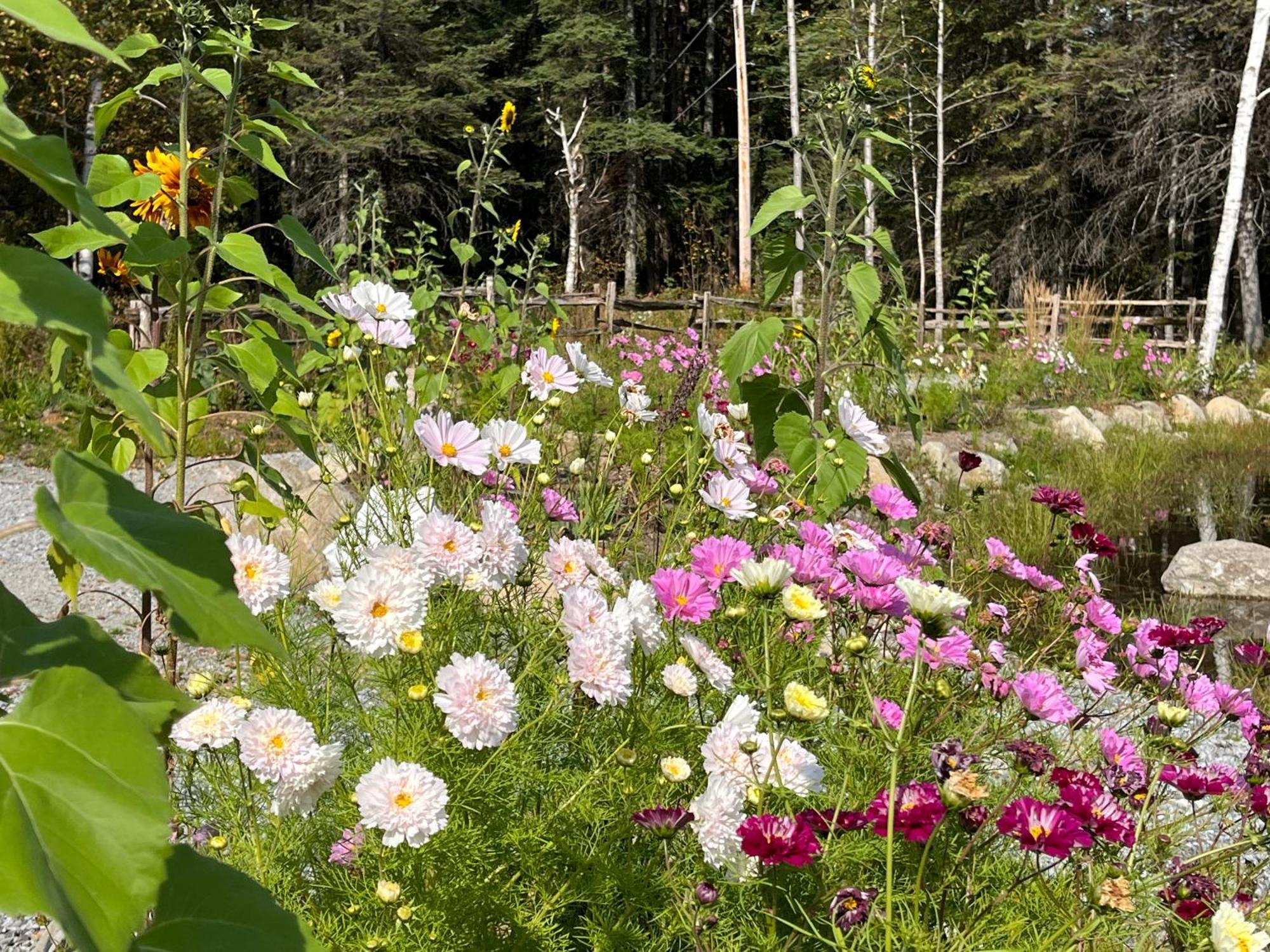 Domaine Gagnon Villa Saint Sebastien Buitenkant foto